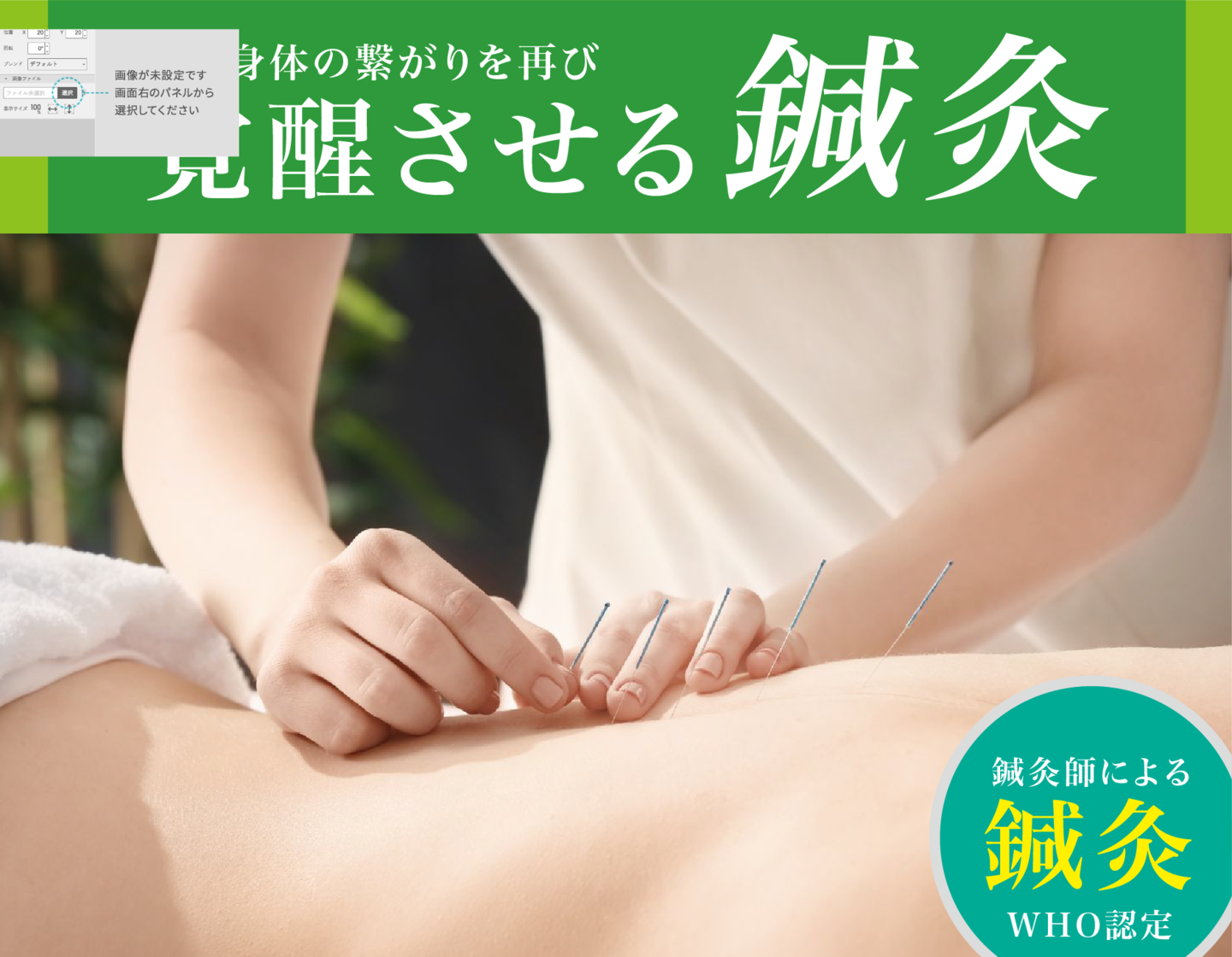 鍼灸師